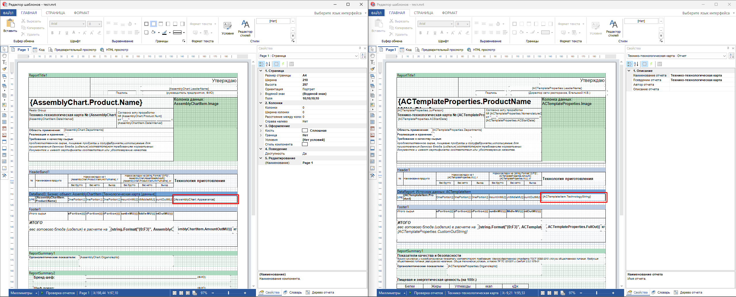 на левой стороне отчет который редактирую, на правой стороне отчет с которого взят пример (шаблон)